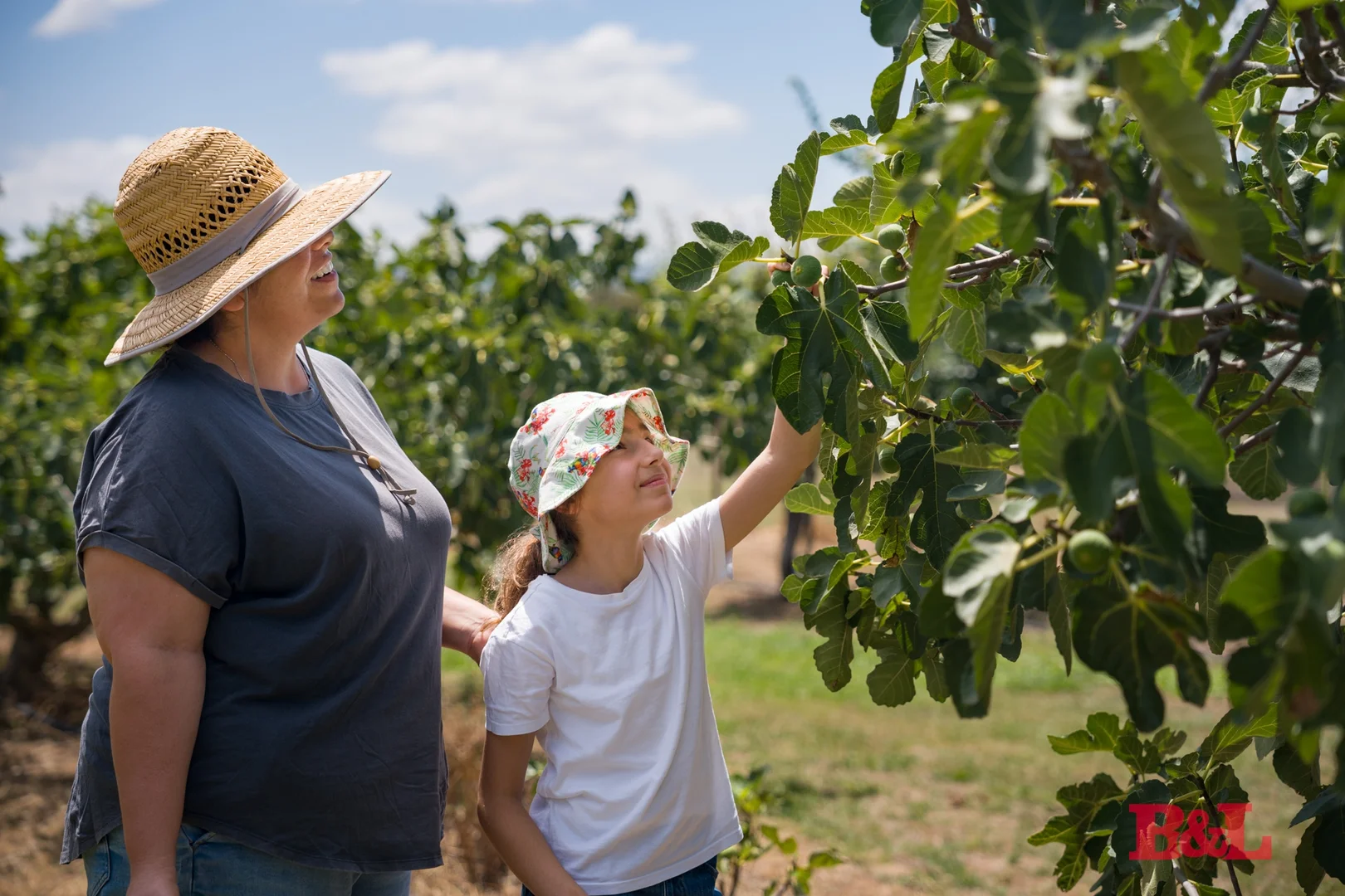Additional image 34 of 7 Melrose Drive, Raglan NSW 2795