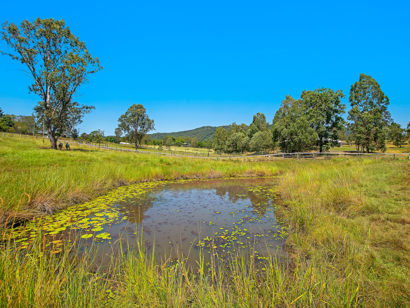 26 Hulcombe Road, Highvale QLD 4520, Image 1