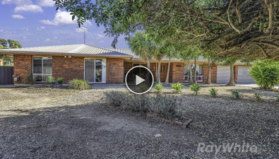 Picture of 12 Rob Roy Court, ECHUCA VIC 3564