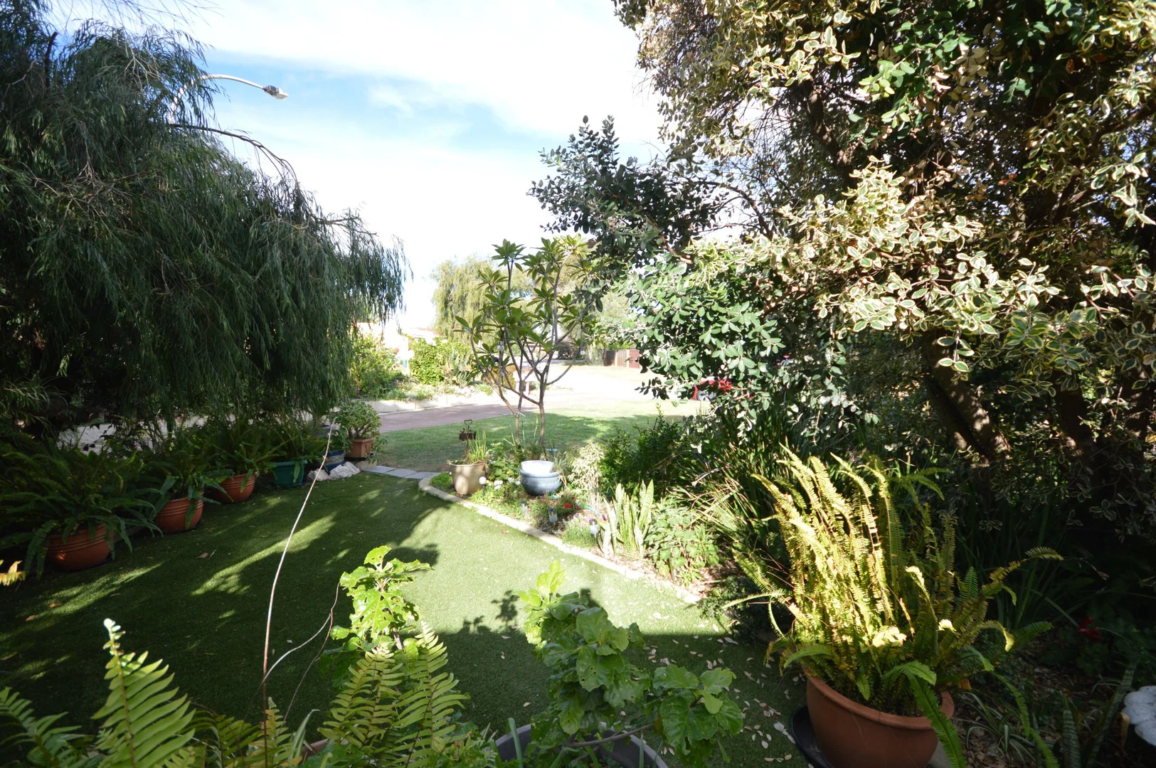 Image 22