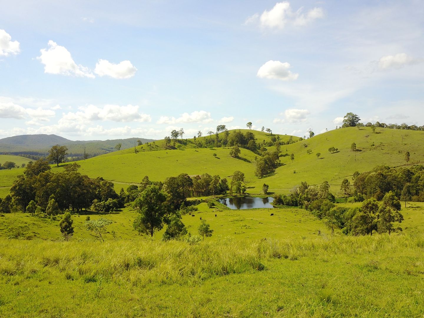 Lot 1/937 Flat Tops Road, Cambra Via, Dungog NSW 2420, Image 2