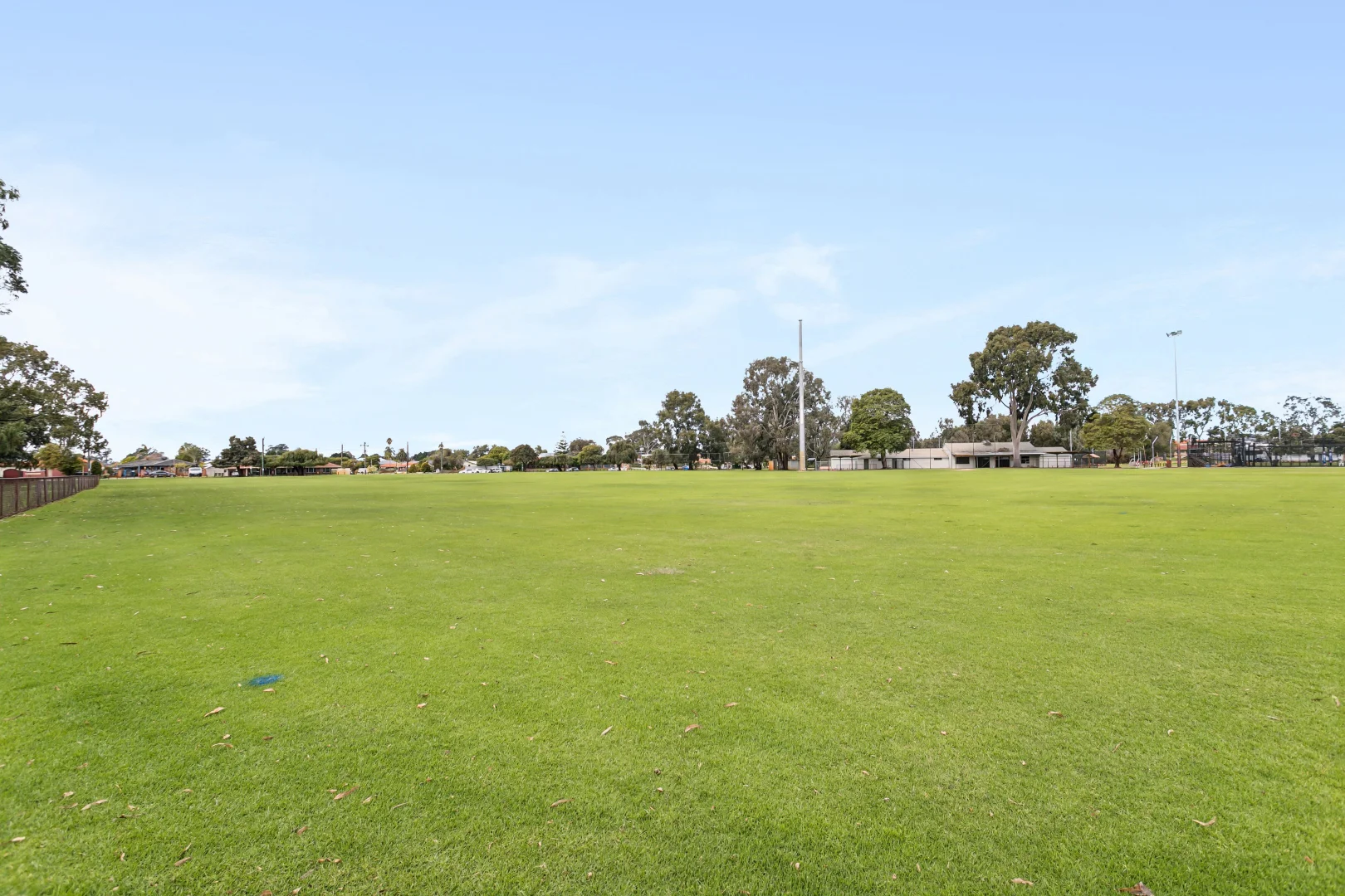 Image 13