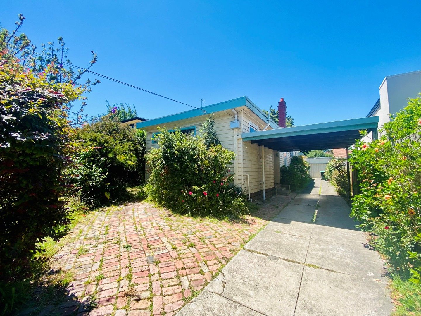 42 Begonia Road, Gardenvale VIC 3185, Image 0