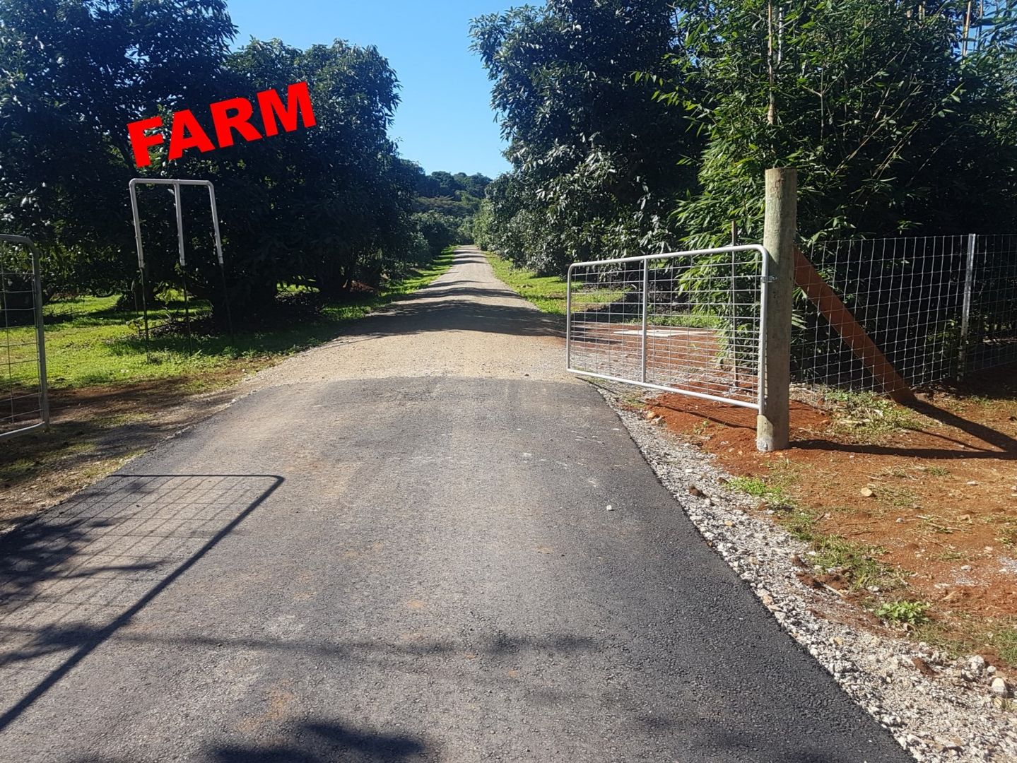 Lot 2 Burgess Avenue, Maleny QLD 4552, Image 2