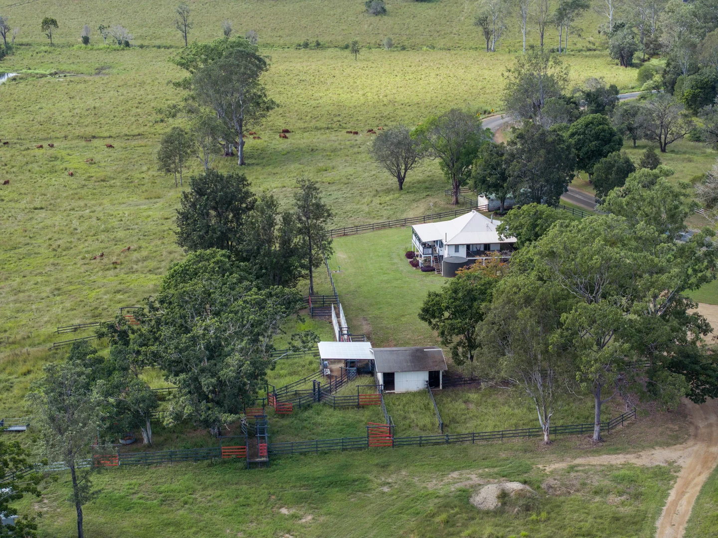 Image 38