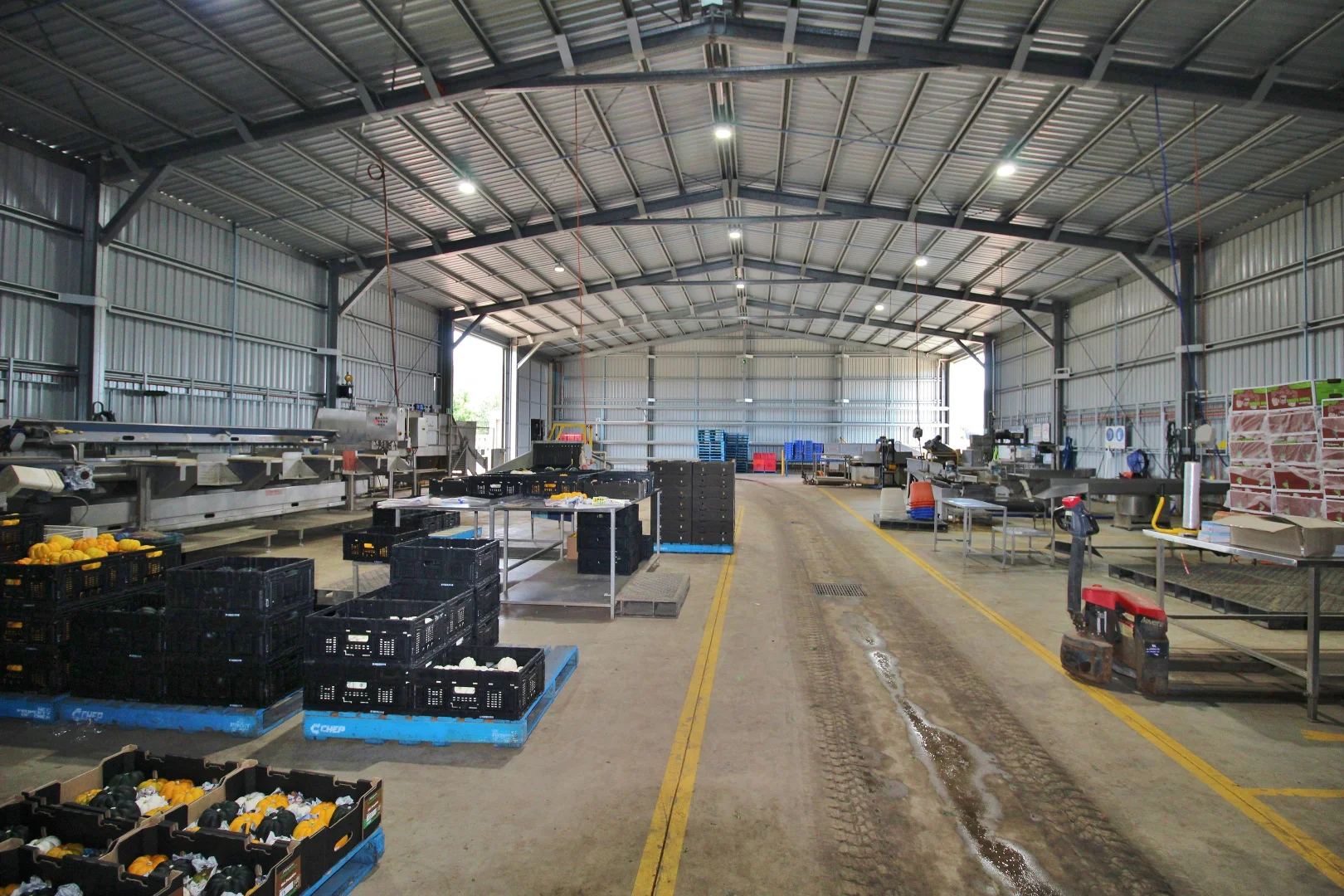 Image 11