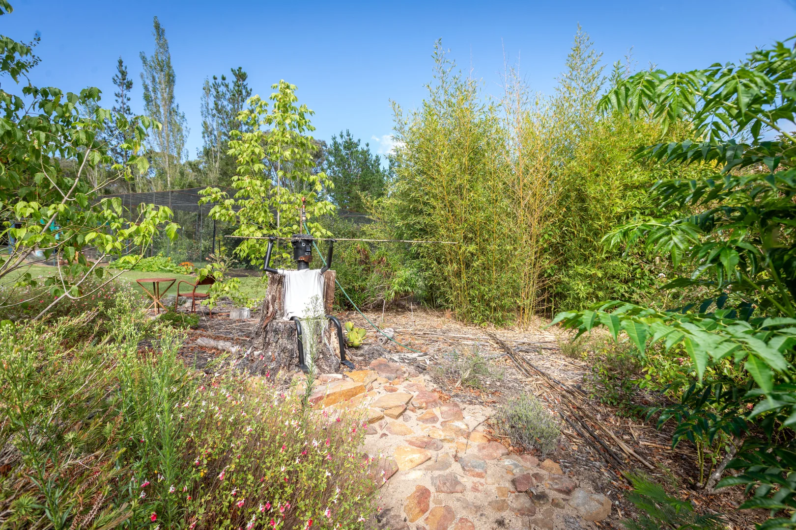 Additional image 26 of 618 New Buildings Road, Wyndham NSW 2550