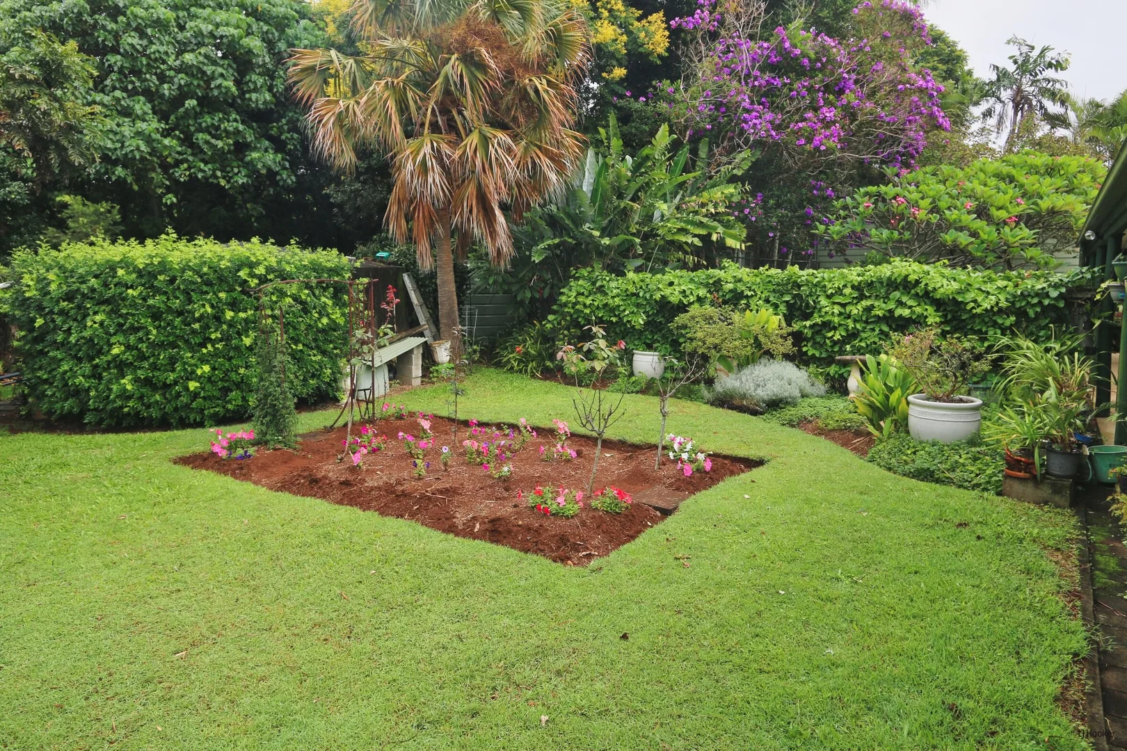 Image 23