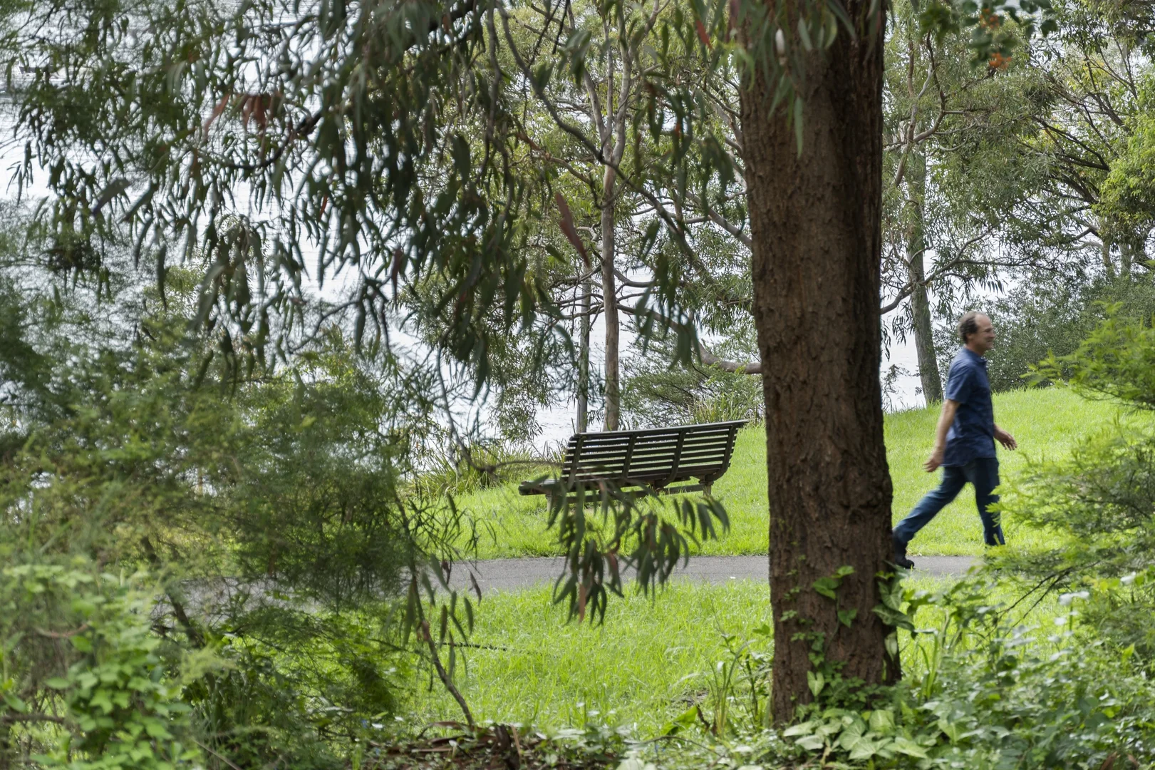 Additional image 18 of 19/14 Leichhardt Street, Glebe NSW 2037