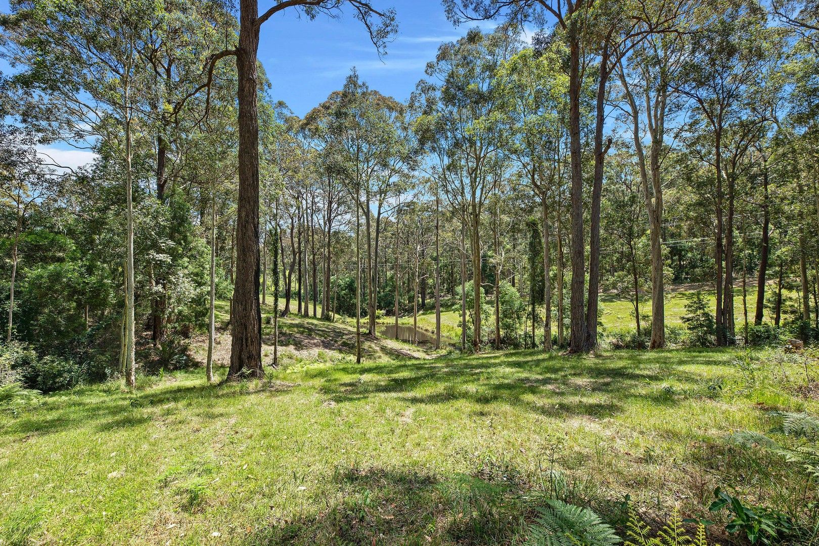 342 Old Highway, Narooma NSW 2546, Image 0