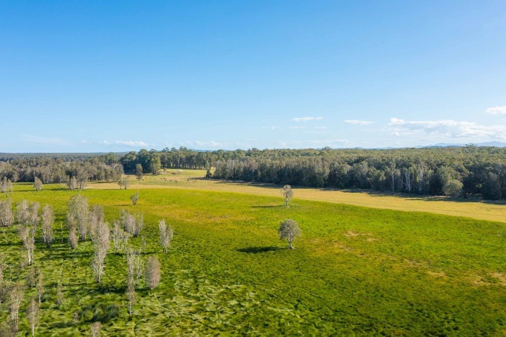 LOT 1 SEALE ROAD, Verges Creek NSW 2440, Image 2