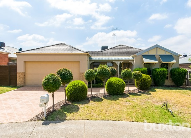 3 Mcevoy Close, Highton VIC 3216