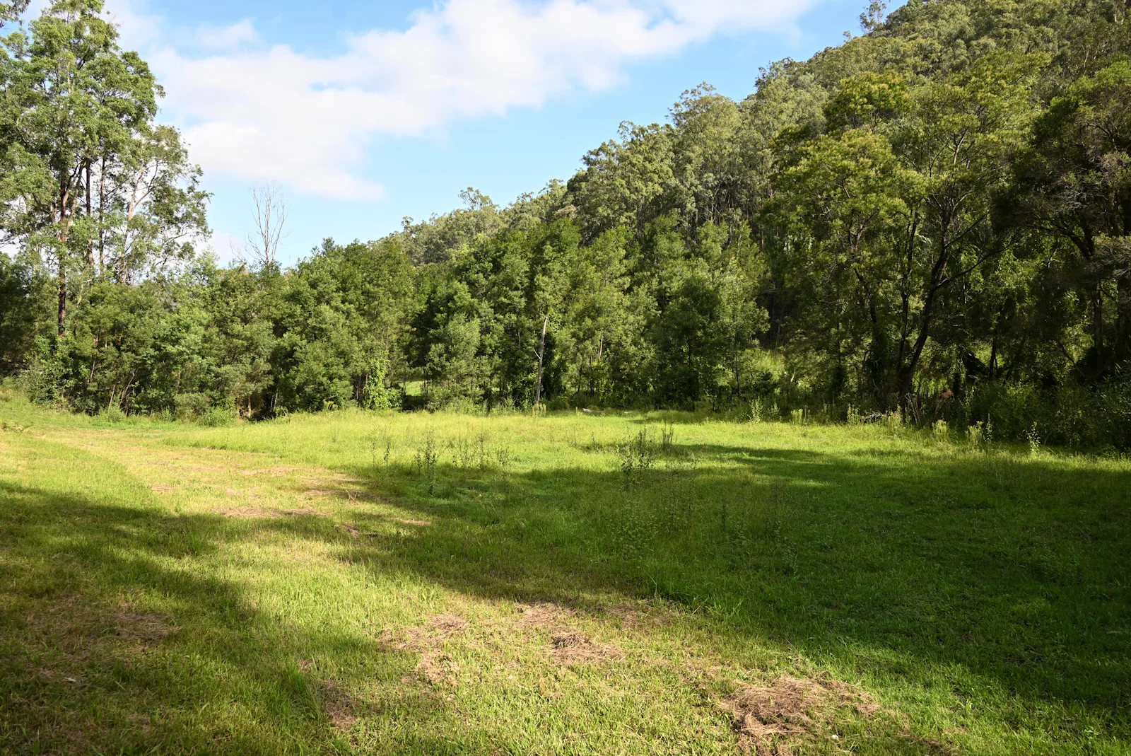 Additional image 29 of Upper Yango Ck Rd, Laguna NSW 2325