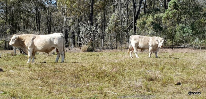 149 Whitaker Road, South Nanango QLD 4615, Image 2