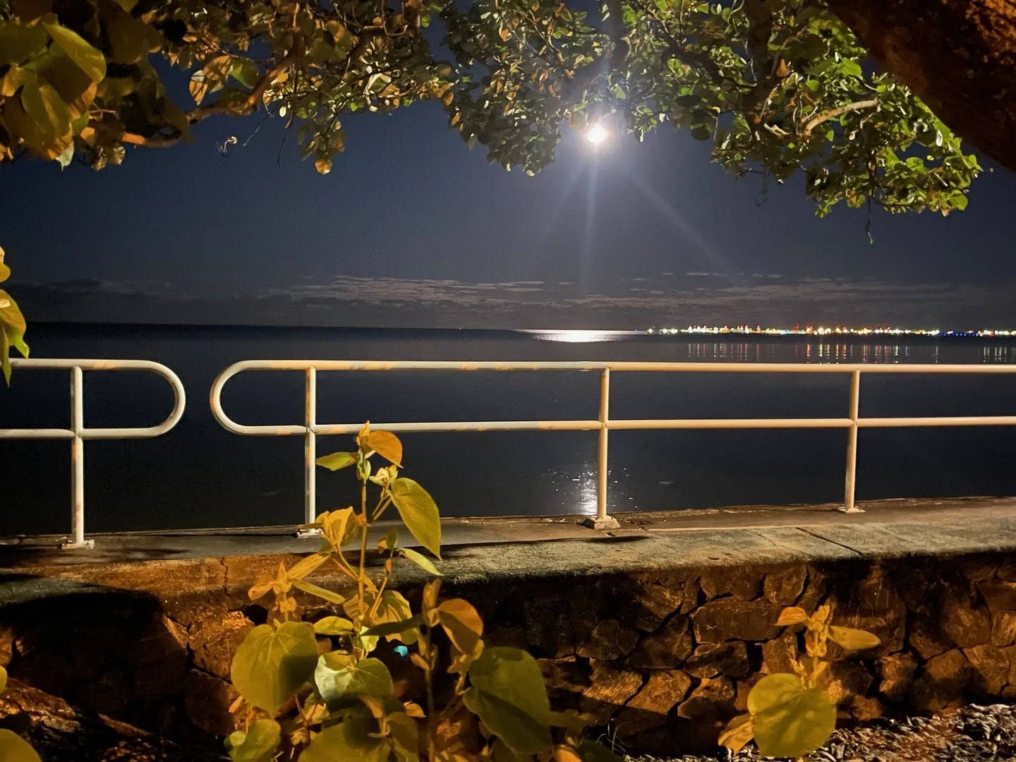 Additional image 21 of 15/24 Sixteenth Avenue, Brighton QLD 4017