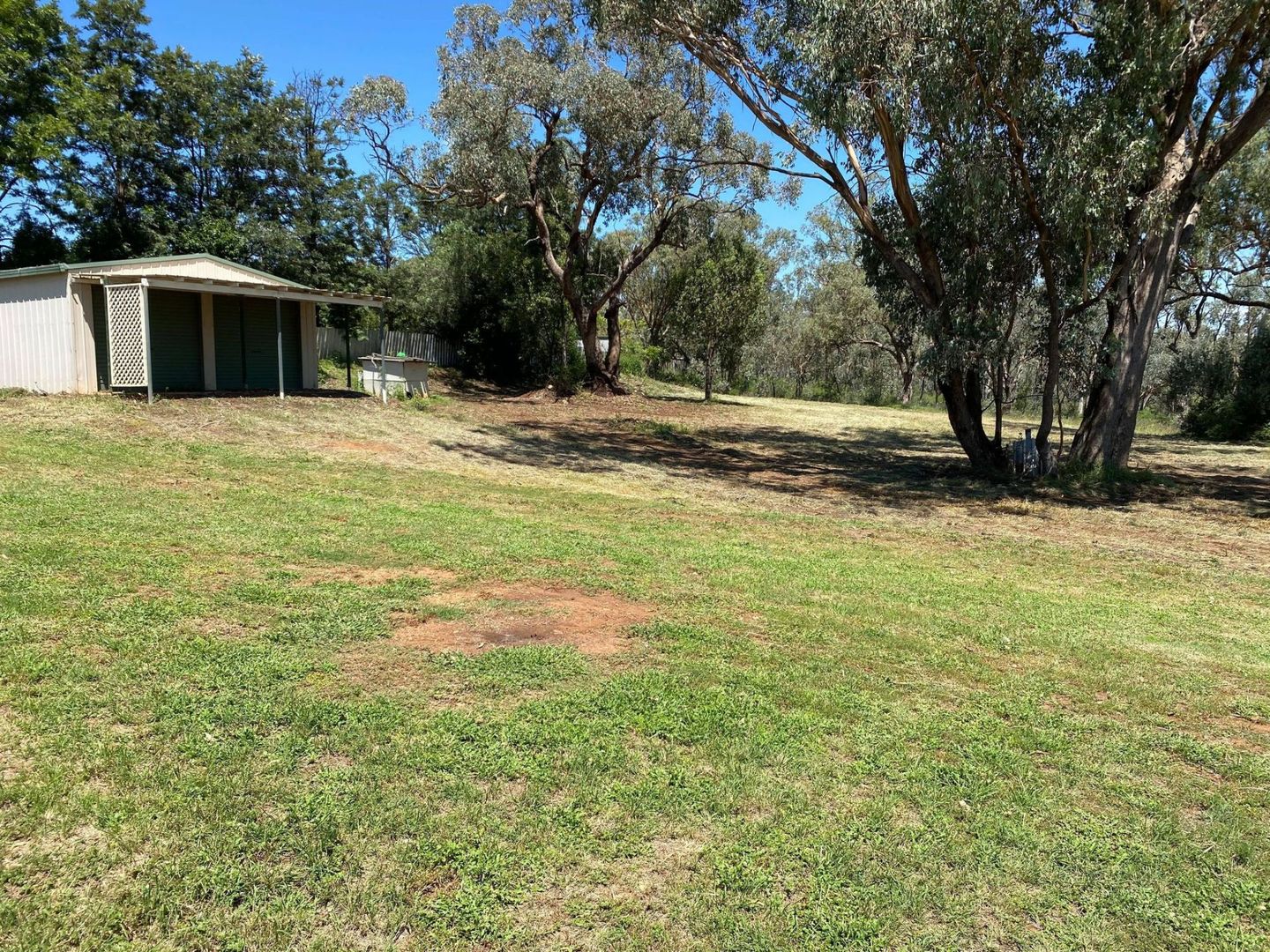 57-59 Bullinda Street, Dunedoo NSW 2844, Image 1