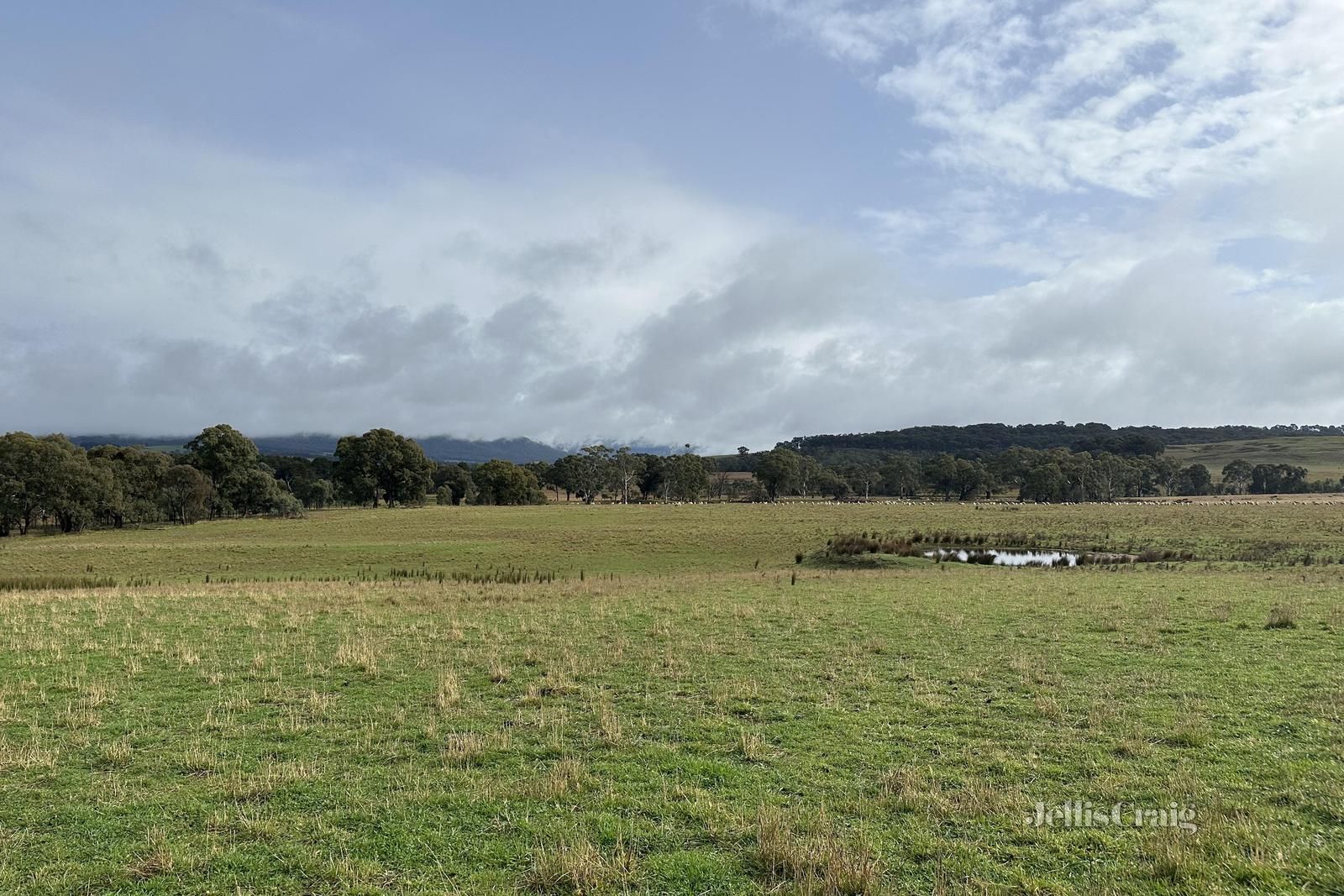 Lot 1Y Amphitheatre Road, Raglan VIC 3373, Image 2