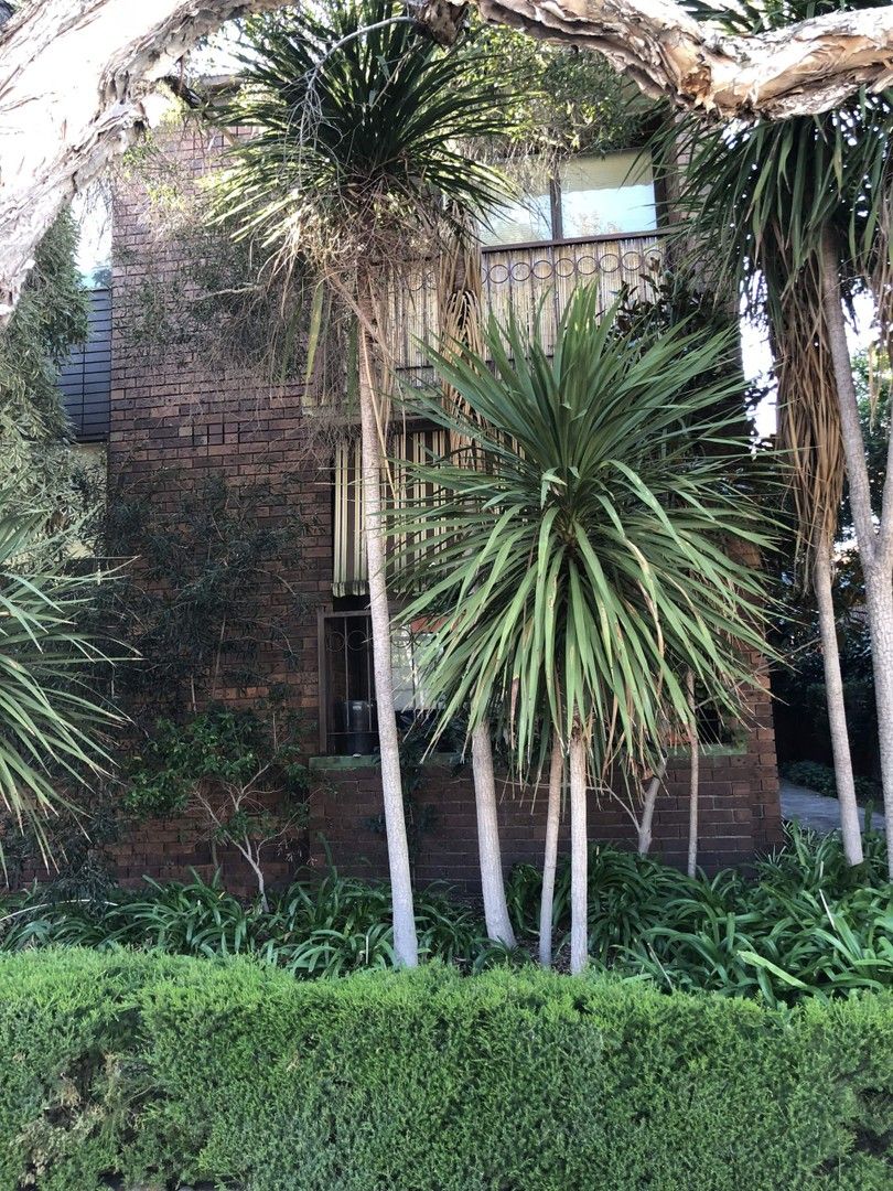 2 bedrooms Apartment / Unit / Flat in 3/3 Browning Street ELWOOD VIC, 3184