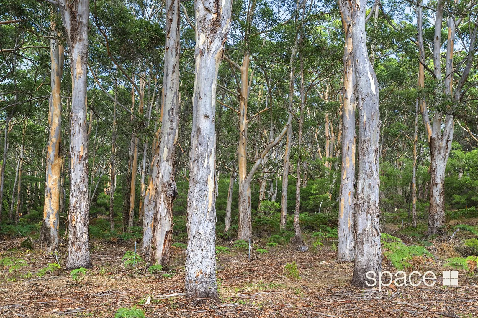 Additional image 10 of Lot 101 Bushby Road, Karridale WA 6288