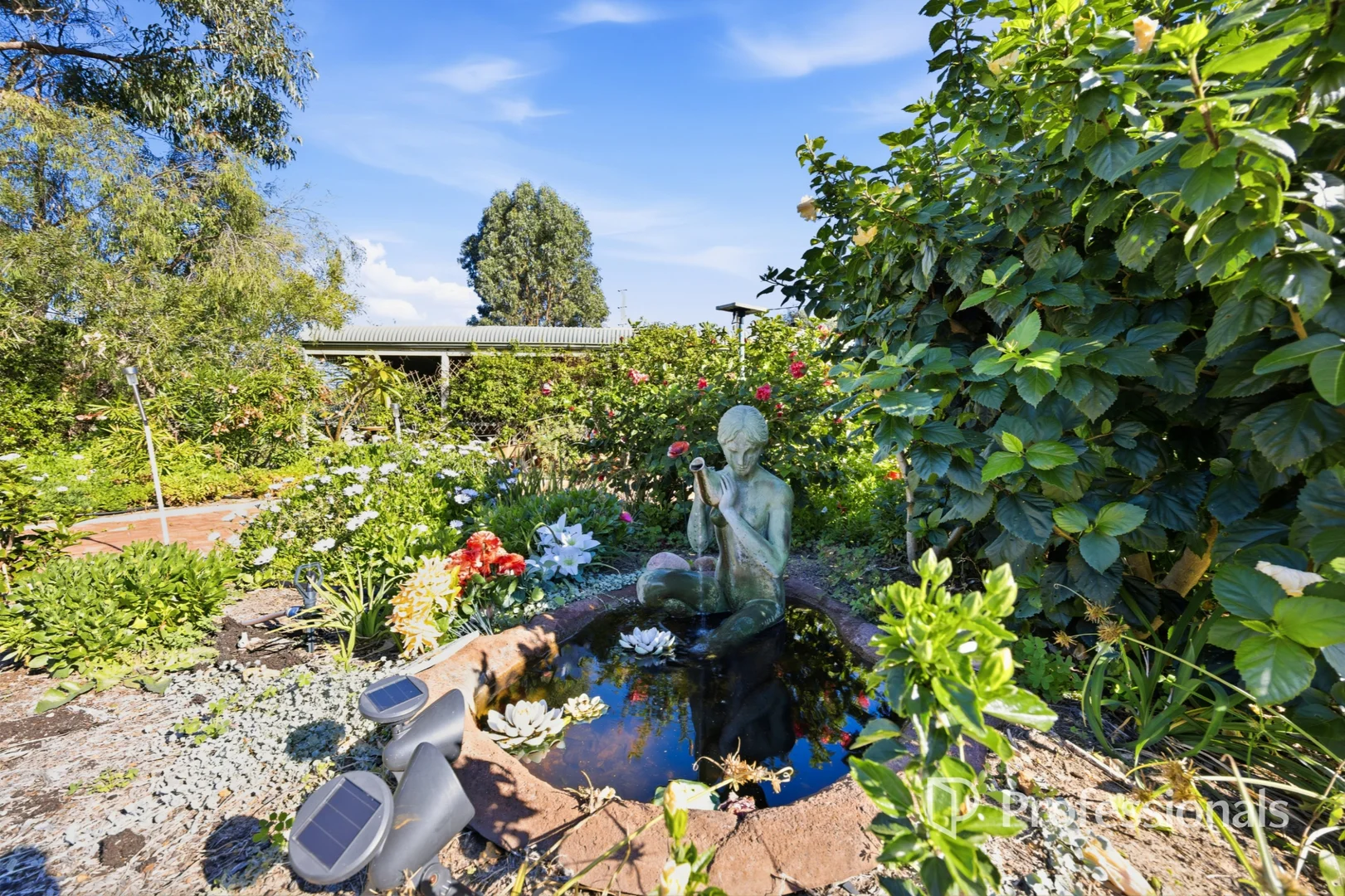 Image 18