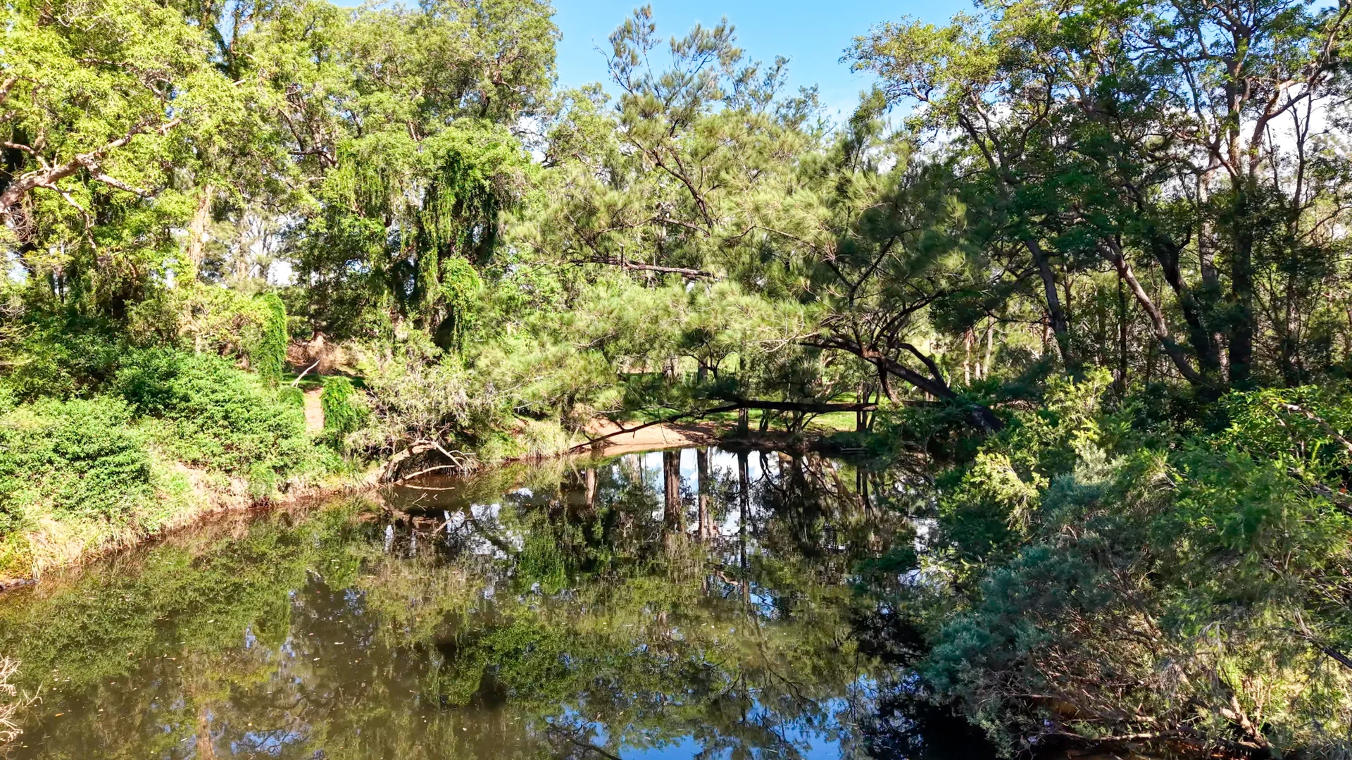 Additional image 14 of 119 Paddys Flat Road, Tabulam NSW 2469