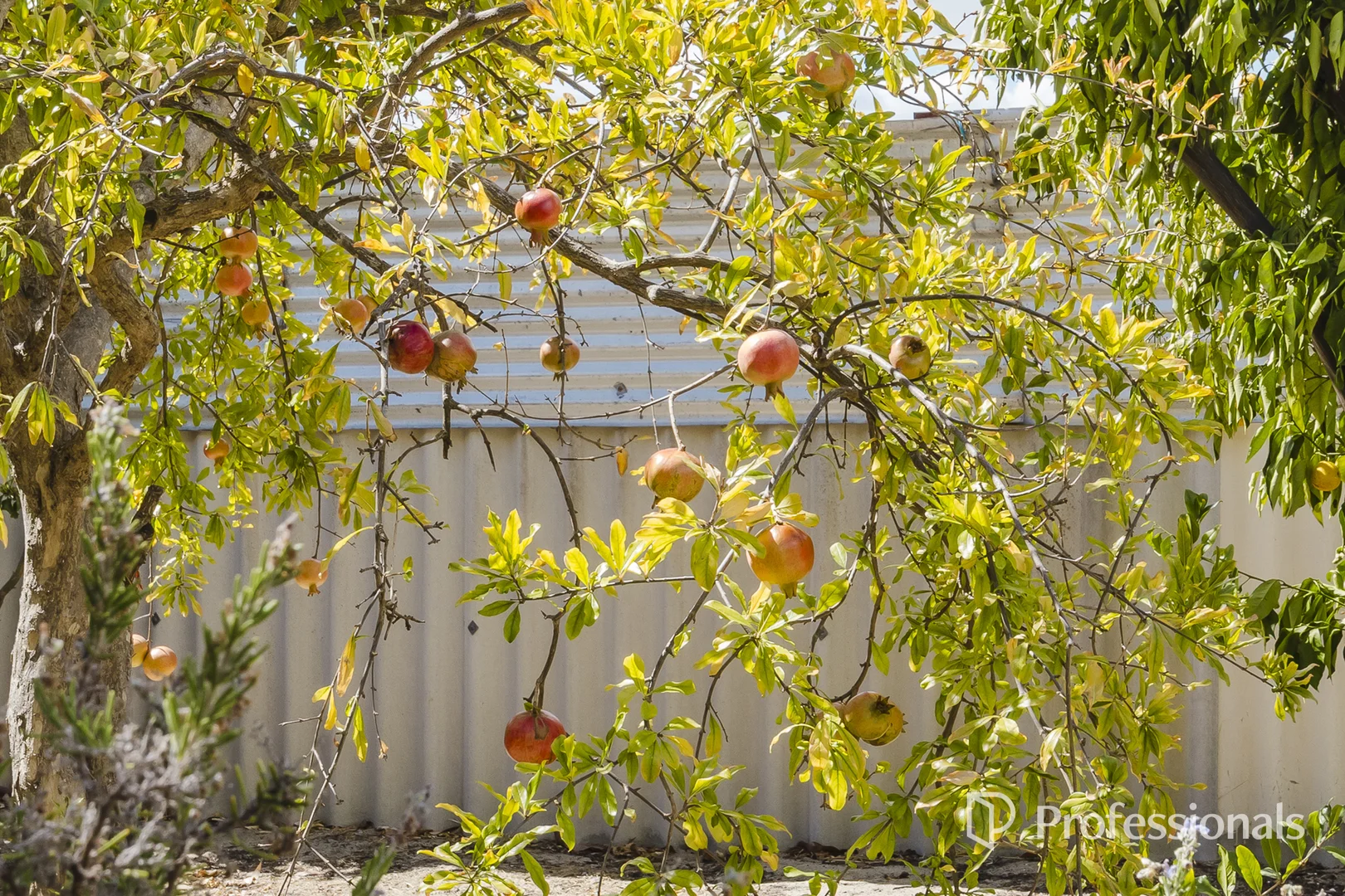 Additional image 33 of 45 Marangaroo Drive, Marangaroo WA 6064