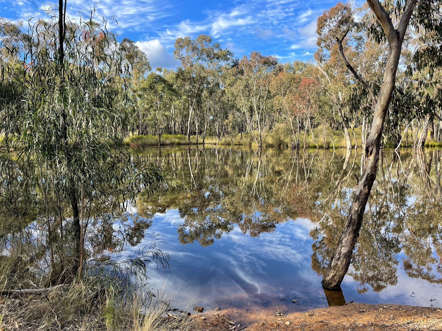 677 Brooks Road, Binnaway Property History & Address Research Domain