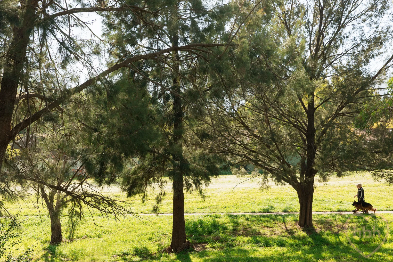 Additional image 39 of 7/23 Kellick Place, Gordon ACT 2906