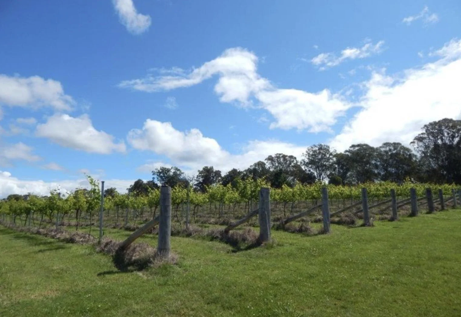 Additional image 5 of 874 Cobargo Bermagui Road, Coolagolite NSW 2550