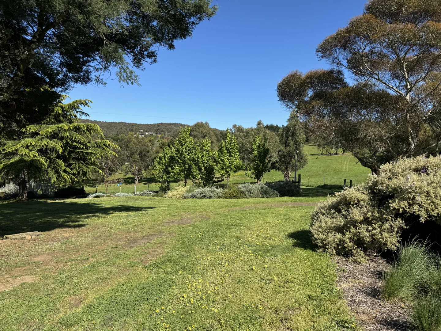 Image 29