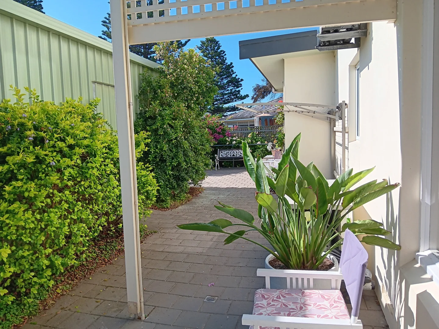 Image 14