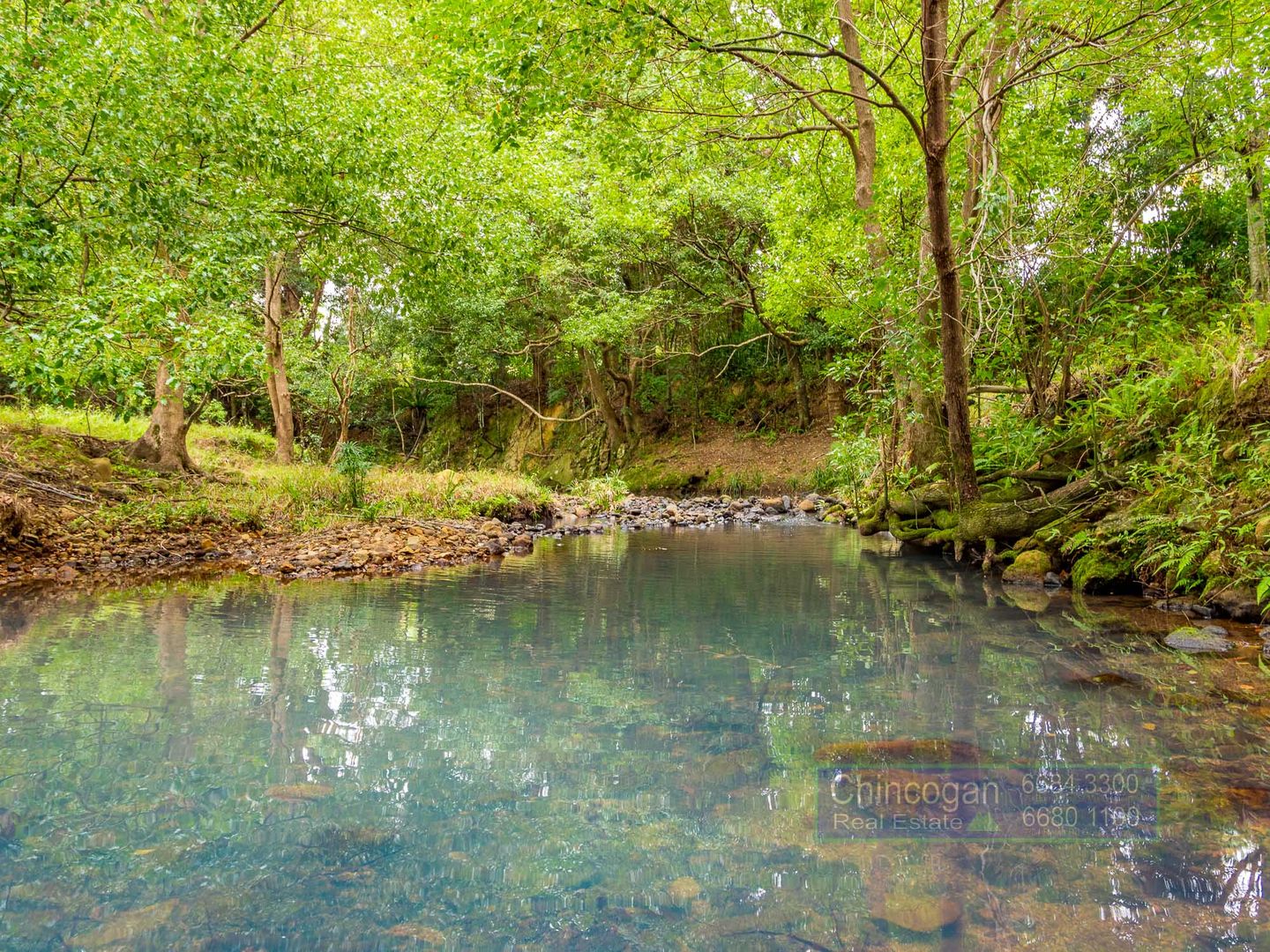 Mullumbimby NSW 2482, Image 1