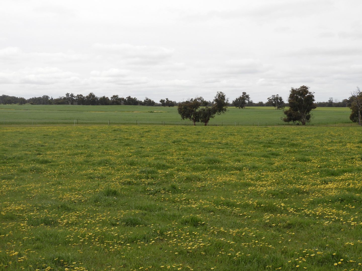 Eagle's Nest #1, Wangeling Gully Road, Williams WA 6391, Image 2