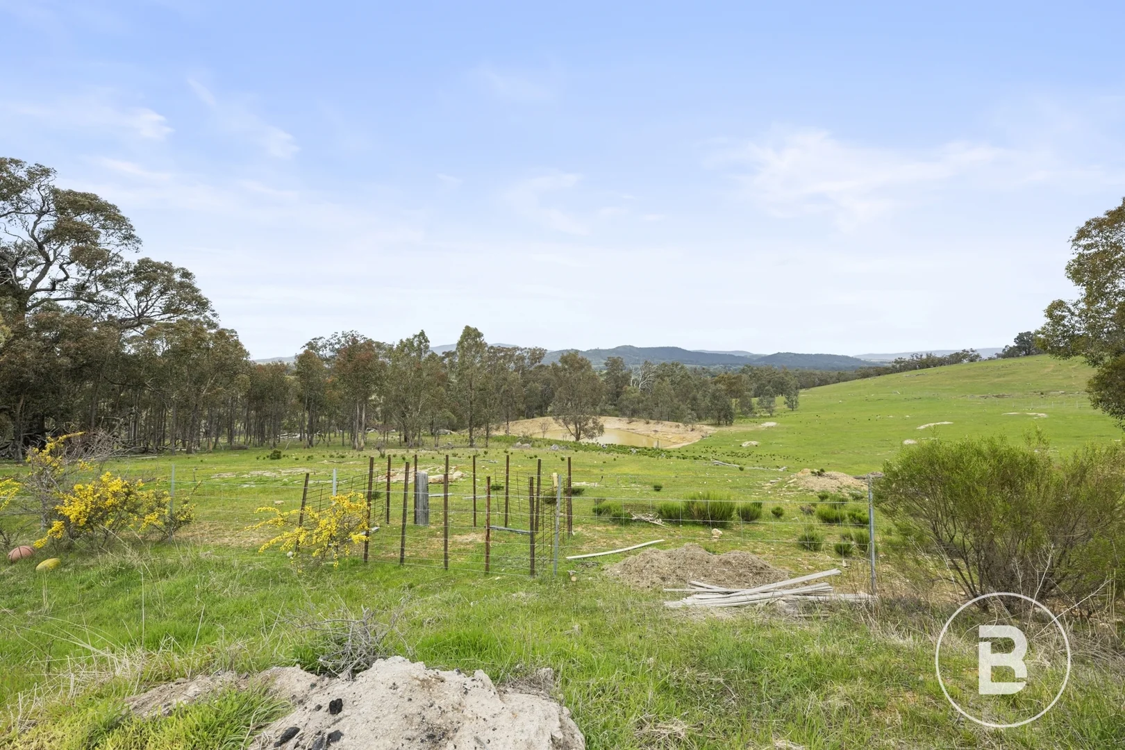 Image 21