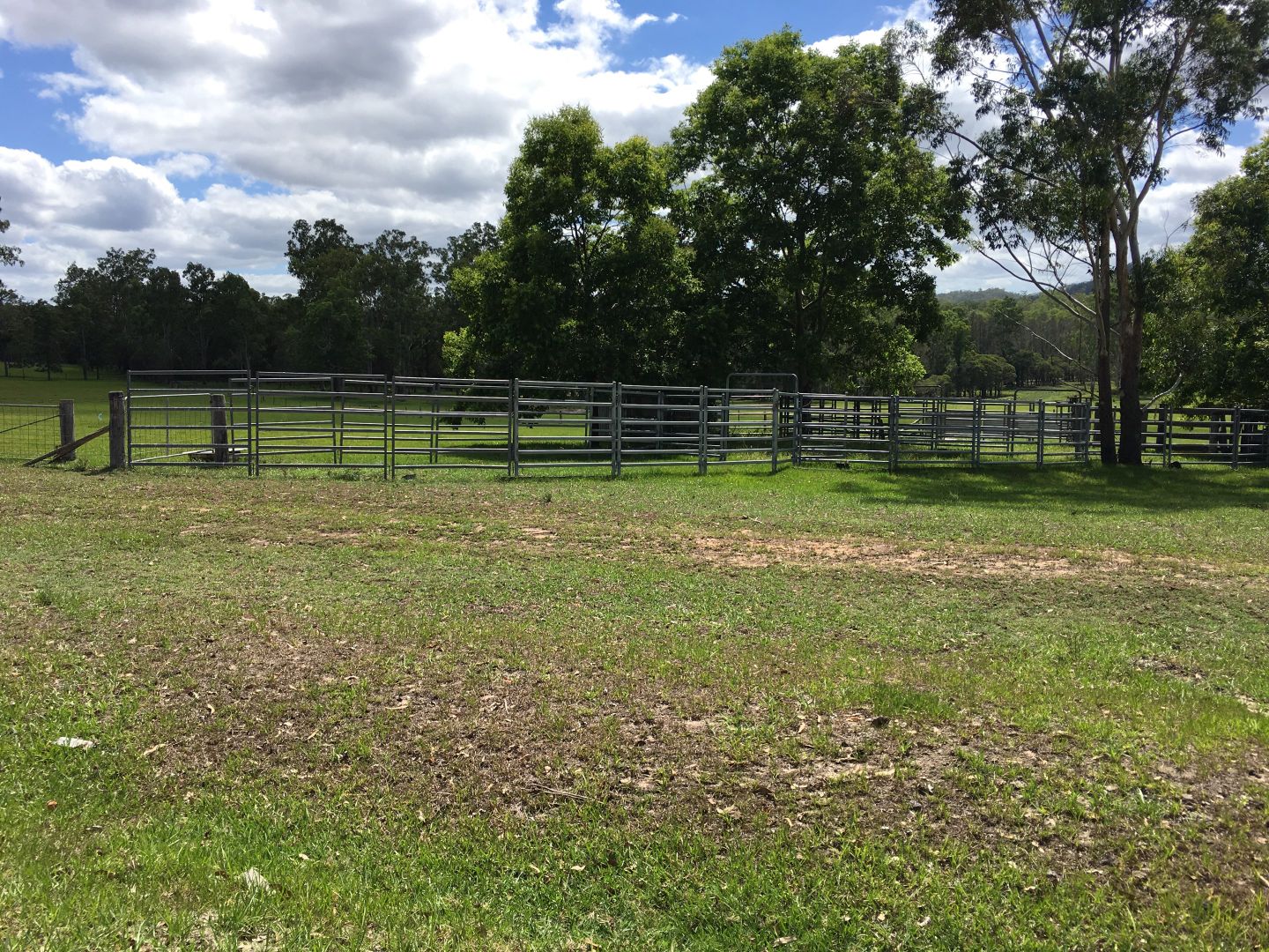 Lot 953 Clarence Way, Moleville Creek NSW 2460, Image 2
