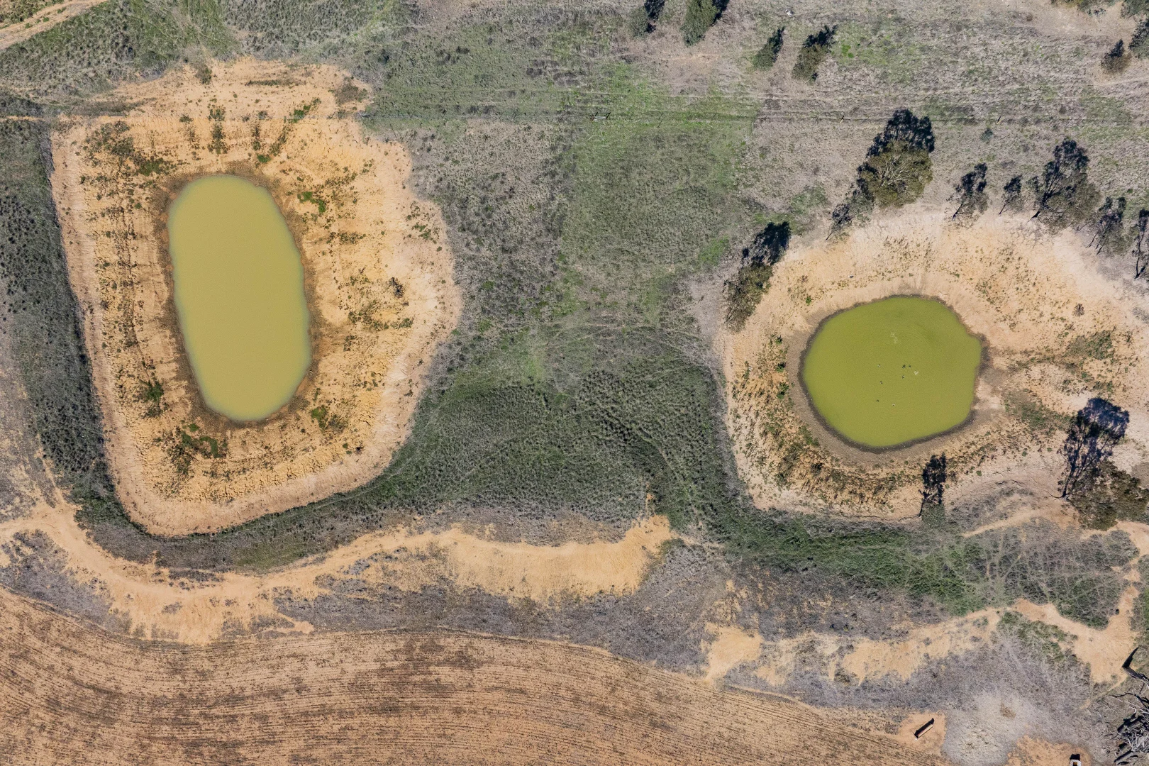 Additional image 13 of Combaning Road, Temora NSW 2666