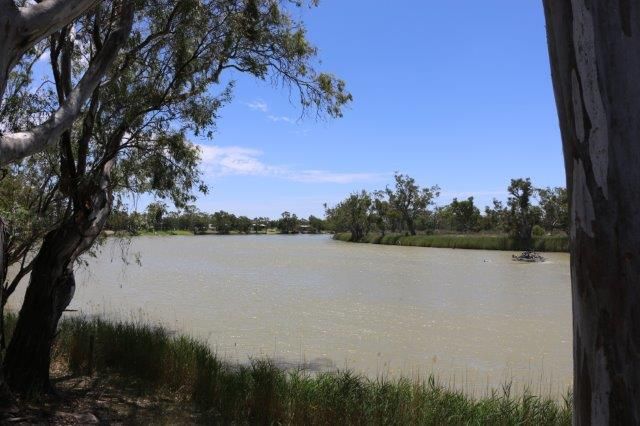 LOT 15 Brenda Park Shack Road, Morgan SA 5320, Image 1