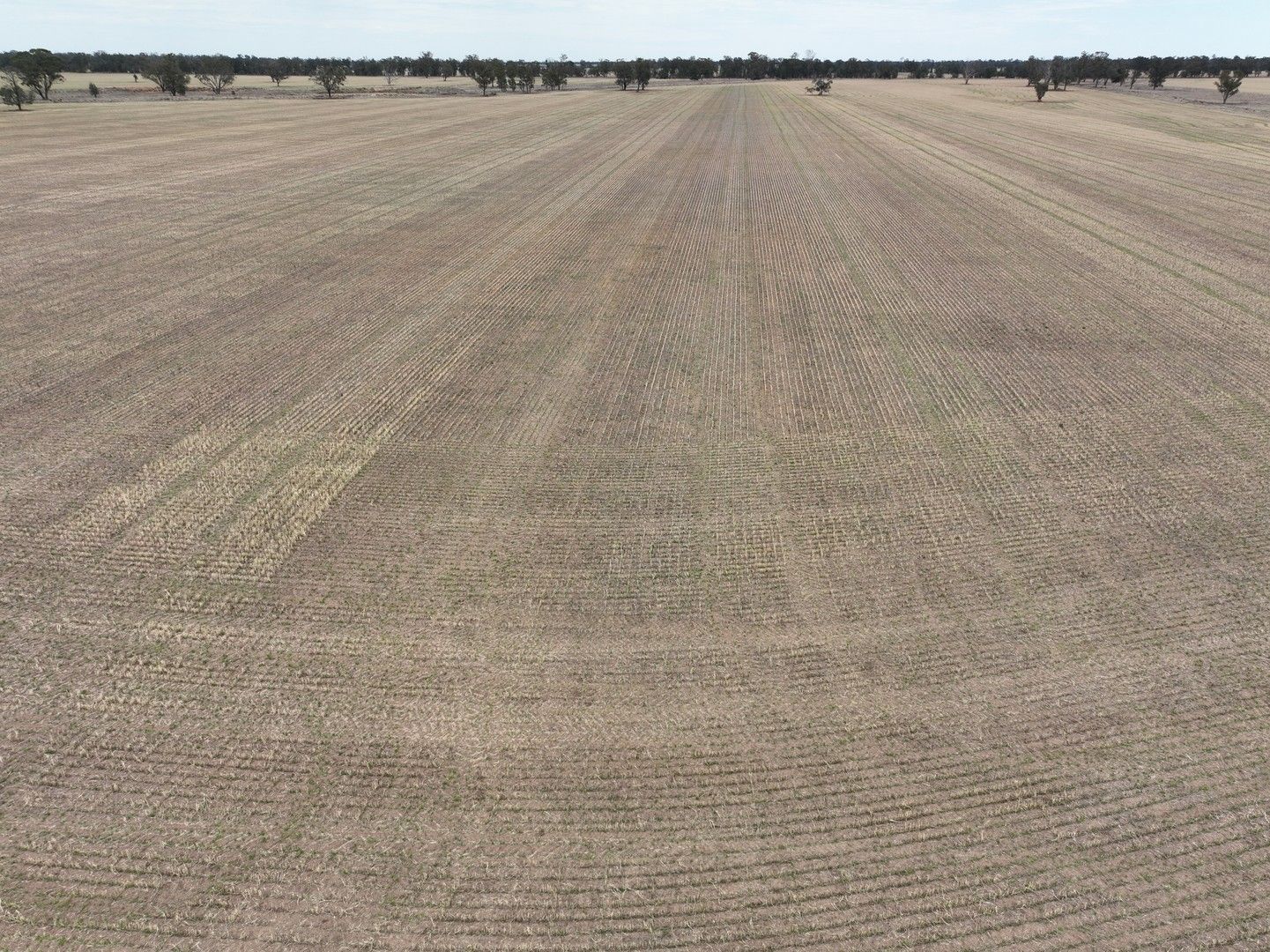 'Clairdon' 2395 Leeches Creek Road, Collie NSW 2827 Farm for Sale