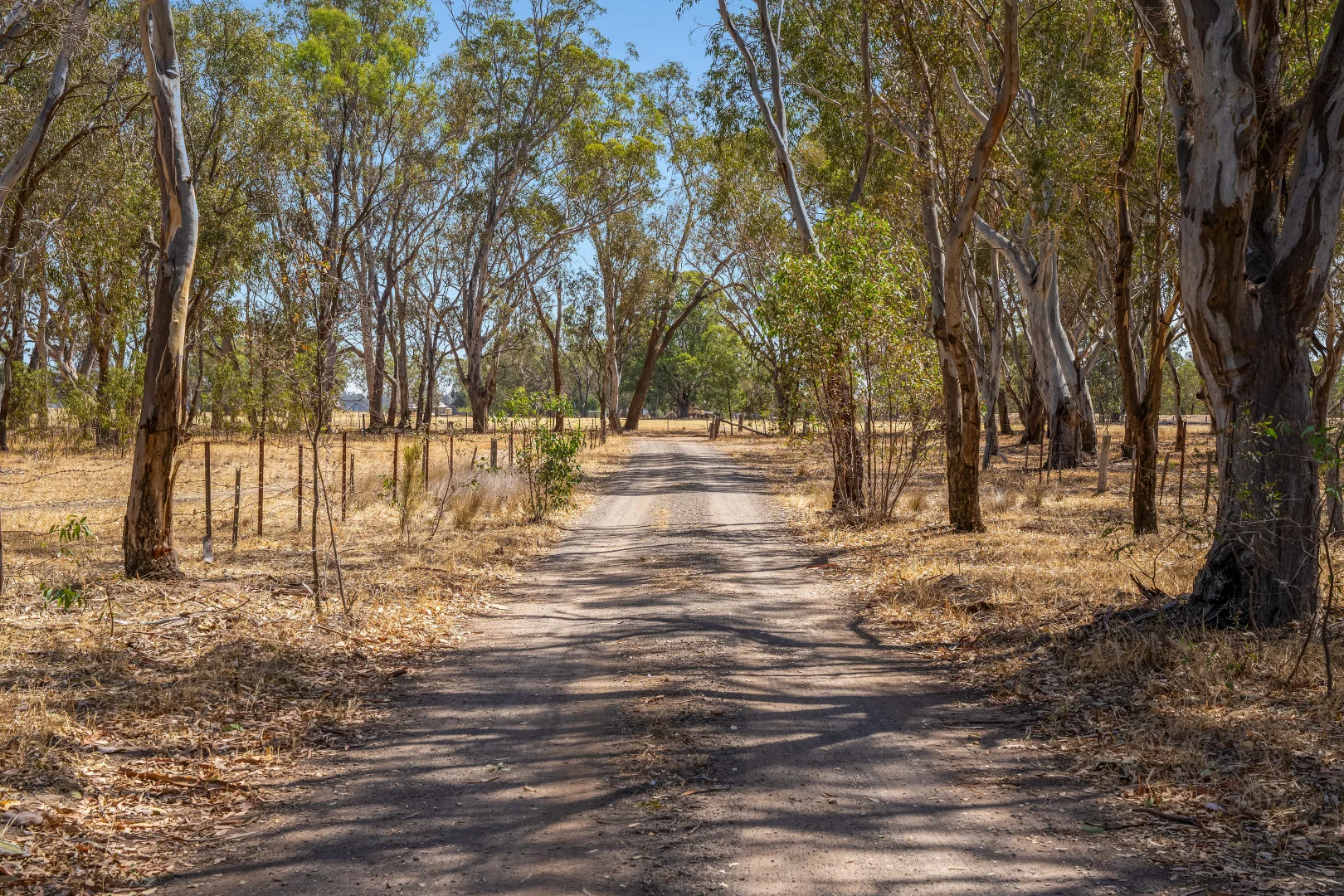 Image 13