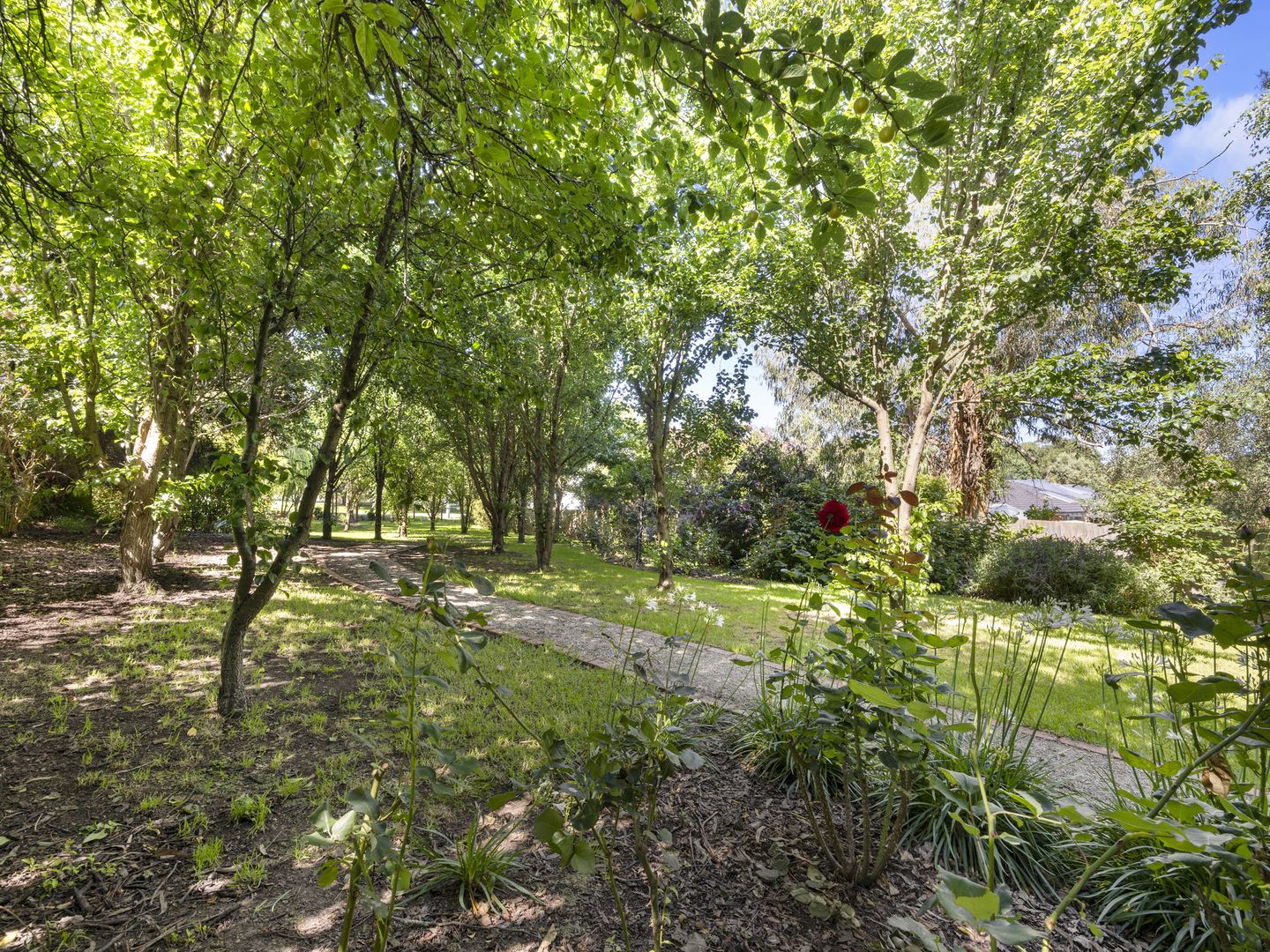 12 Queen Street, Loch VIC 3945, Image 1