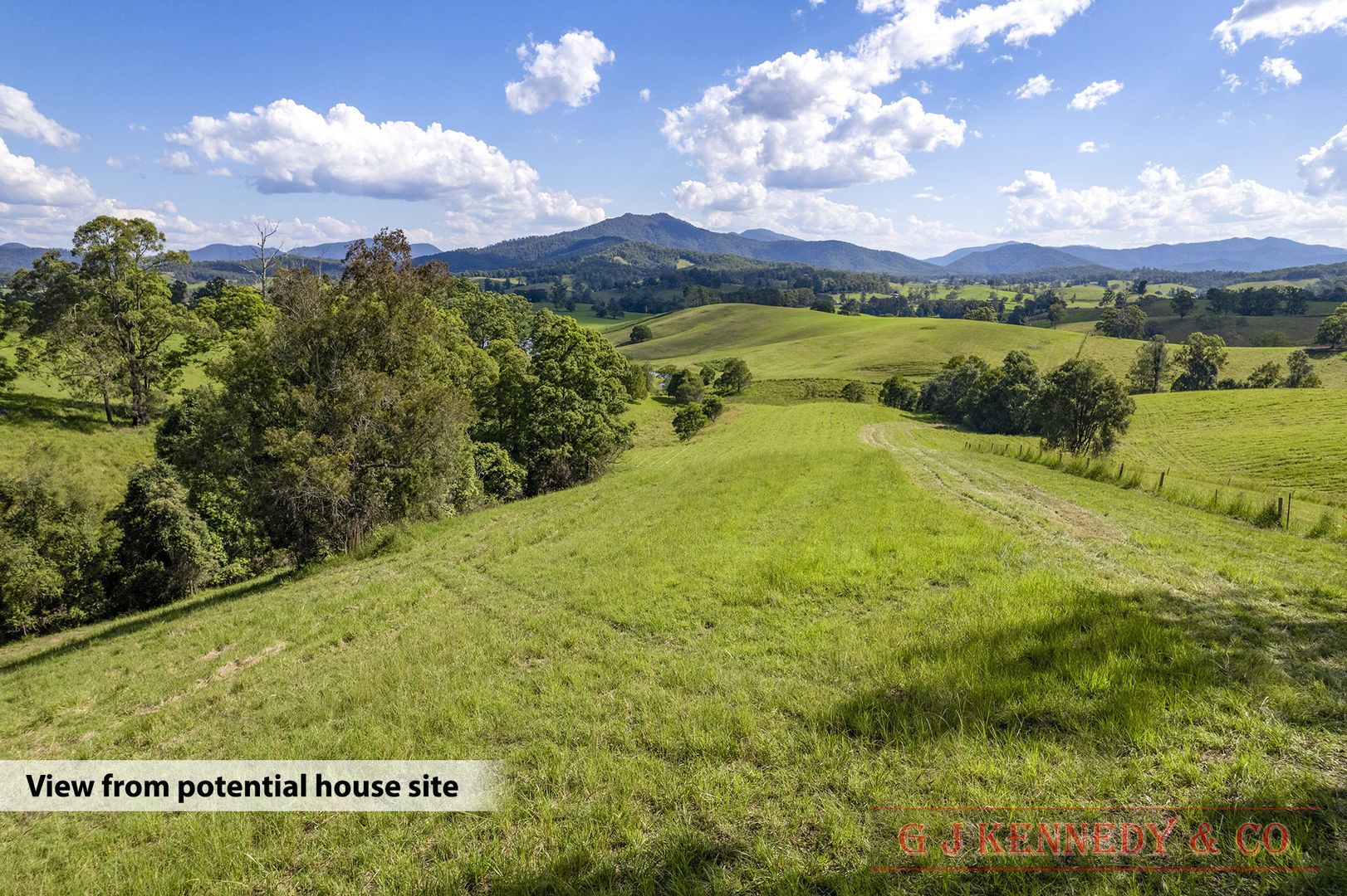 444 North Arm Road, Argents Hill NSW 2449, Image 2