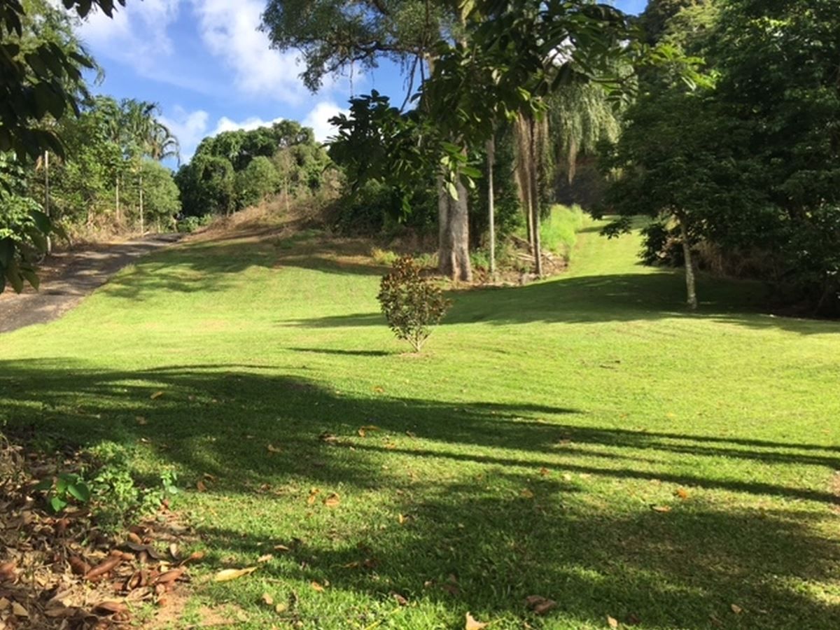 Lot 6 Parry Street, Babinda QLD 4861, Image 2