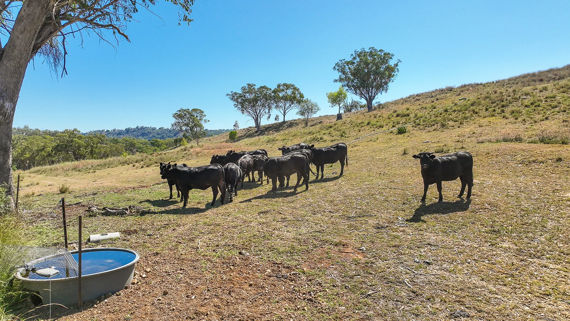 Additional image 27 of 6702A MANILLA ROAD, Red Hill NSW 2347