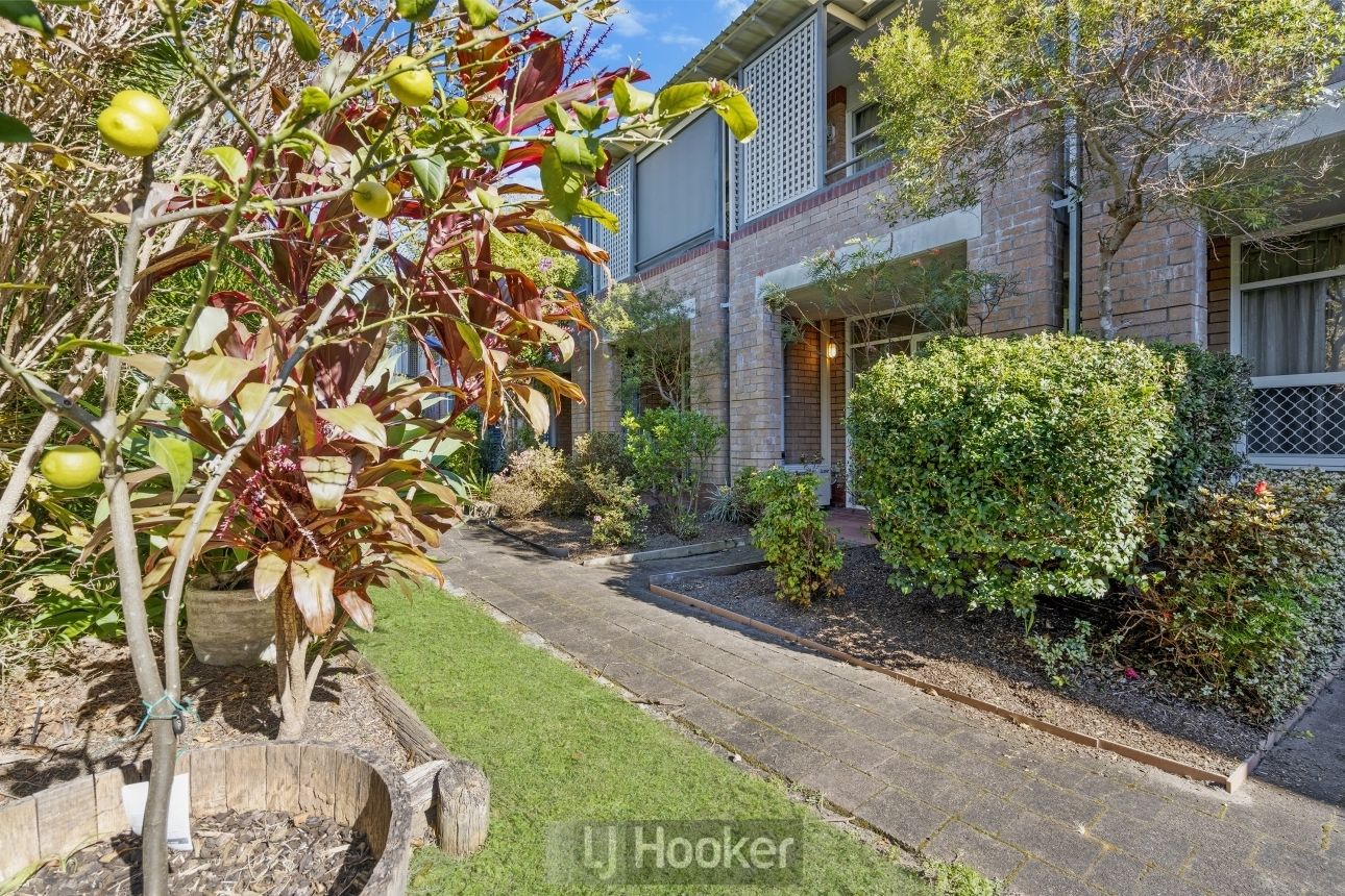 113/3 Violet Town Road, Mount Hutton Property History & Address