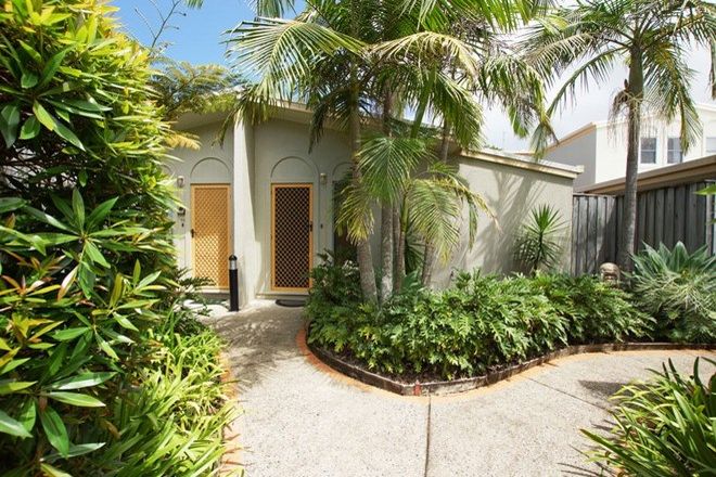 Picture of 16/306-310 Harbour Drive, COFFS HARBOUR JETTY NSW 2450