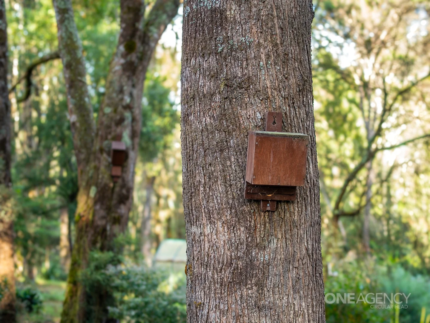 Additional image 26 of 22 Tierneys Road, Mengha TAS 7330