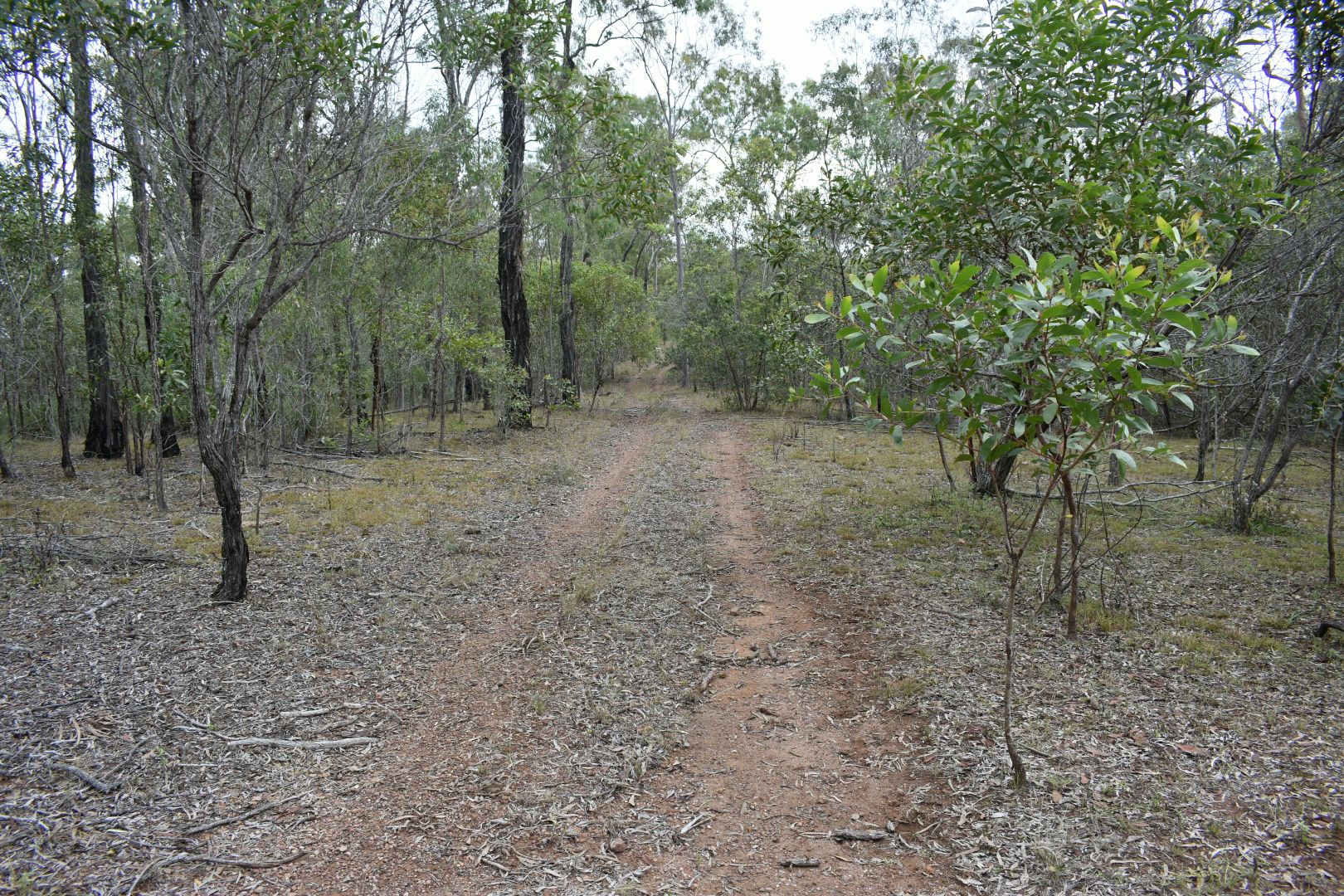 Glenbar Rd, Glenbar QLD 4620, Image 1