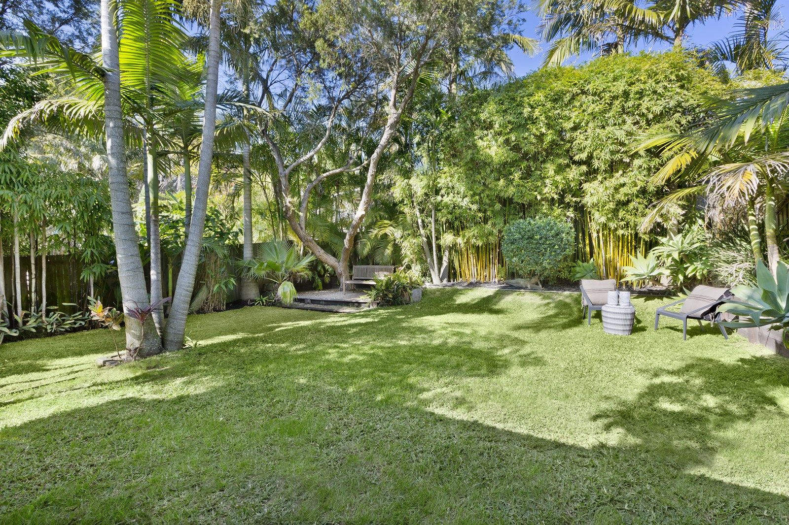 43 Griffiths Street, Fairlight NSW 2094, Image 2