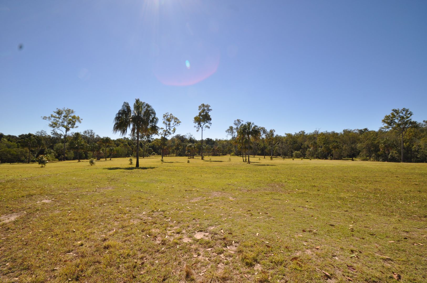 Lowmead QLD 4676 Farm for Sale 245 Domain
