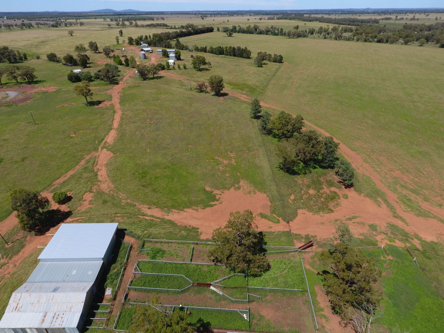 8308 The Bogan Way, Trundle NSW 2875, Image 1